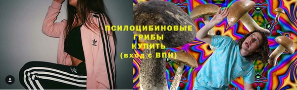 стаф Абдулино
