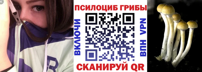 Галлюциногенные грибы MAGIC MUSHROOMS  Хадыженск 